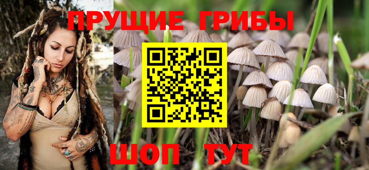 Псилоцибиновые грибы мухоморы  Вход с VPN  Королёв  Галлюциногенные грибы прущие грибы 